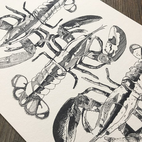 Claw to Tail Giclee Fine Art Print A3