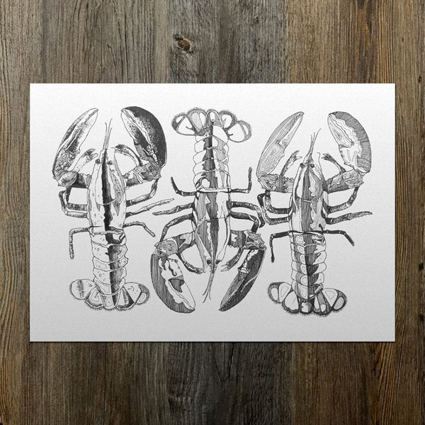 Claw to Tail Giclee Fine Art Print A3