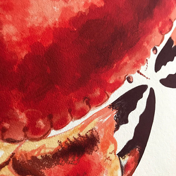 Edible Red Crab A3 Giclee Fine Art Print