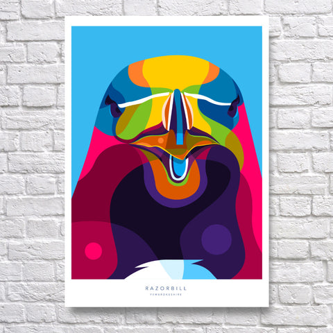 Razorbill Fine Art Print