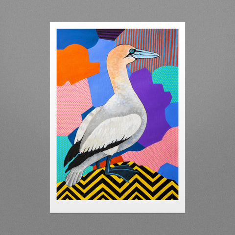 Pembrokeshire Gannet Fine Art Print
