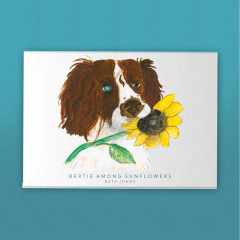 Bertie Among Sunflowers Art Print – Beth Johns