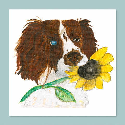 Bertie Among Sunflowers Art Card – Beth Johns