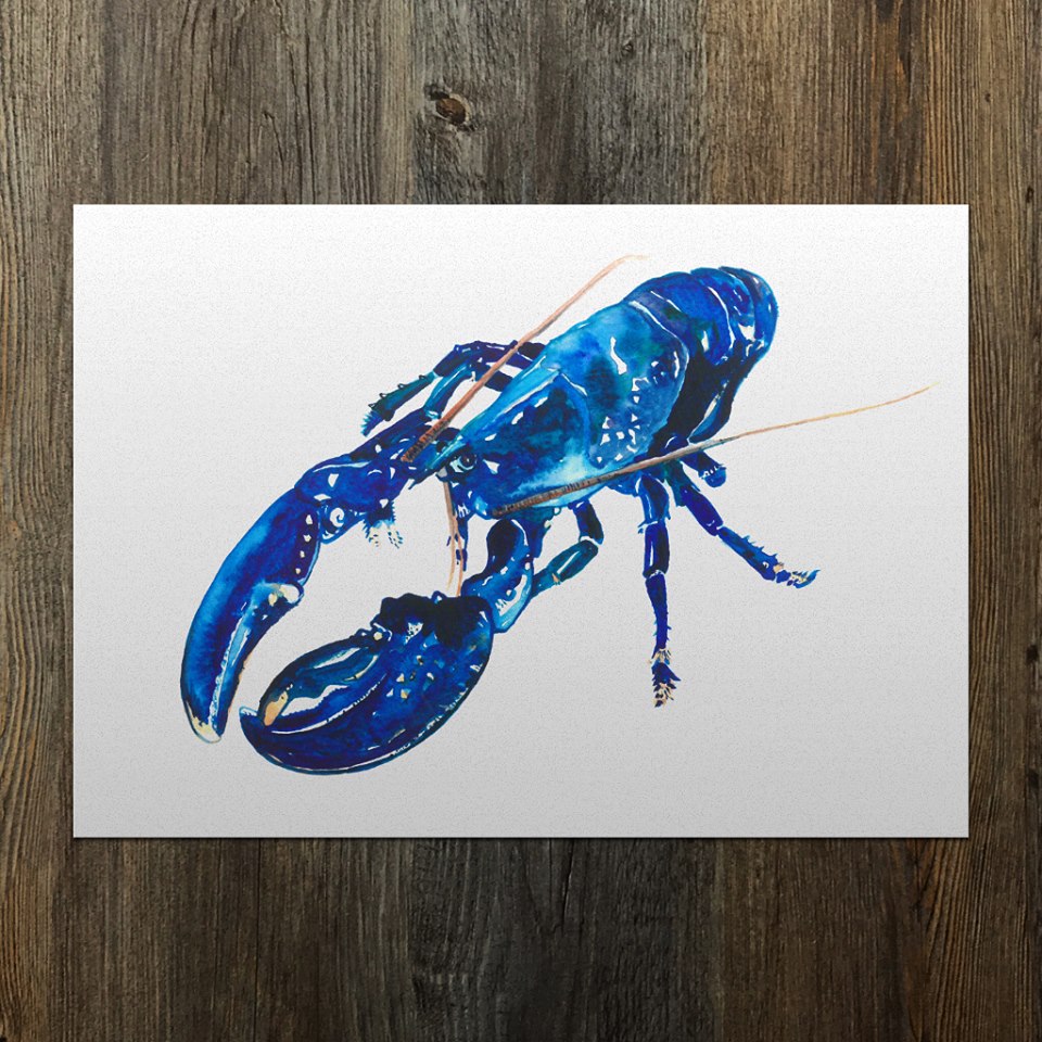 Blue Lobster A3 Giclee Fine Art Print