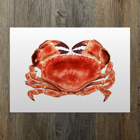 Edible Red Crab